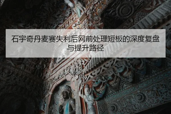 石宇奇丹麦赛失利后网前处理短板的深度复盘与提升路径